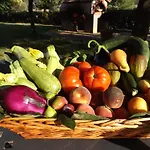 San Giorgino مزرعة للإقامة غروسيتو