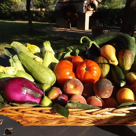 San Giorgino Farm stay Grosseto
